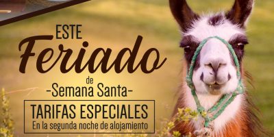 ARTES REDES SOCIALES