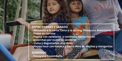 ARTES REDES SOCIALES